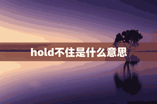 hold不住是什么意思